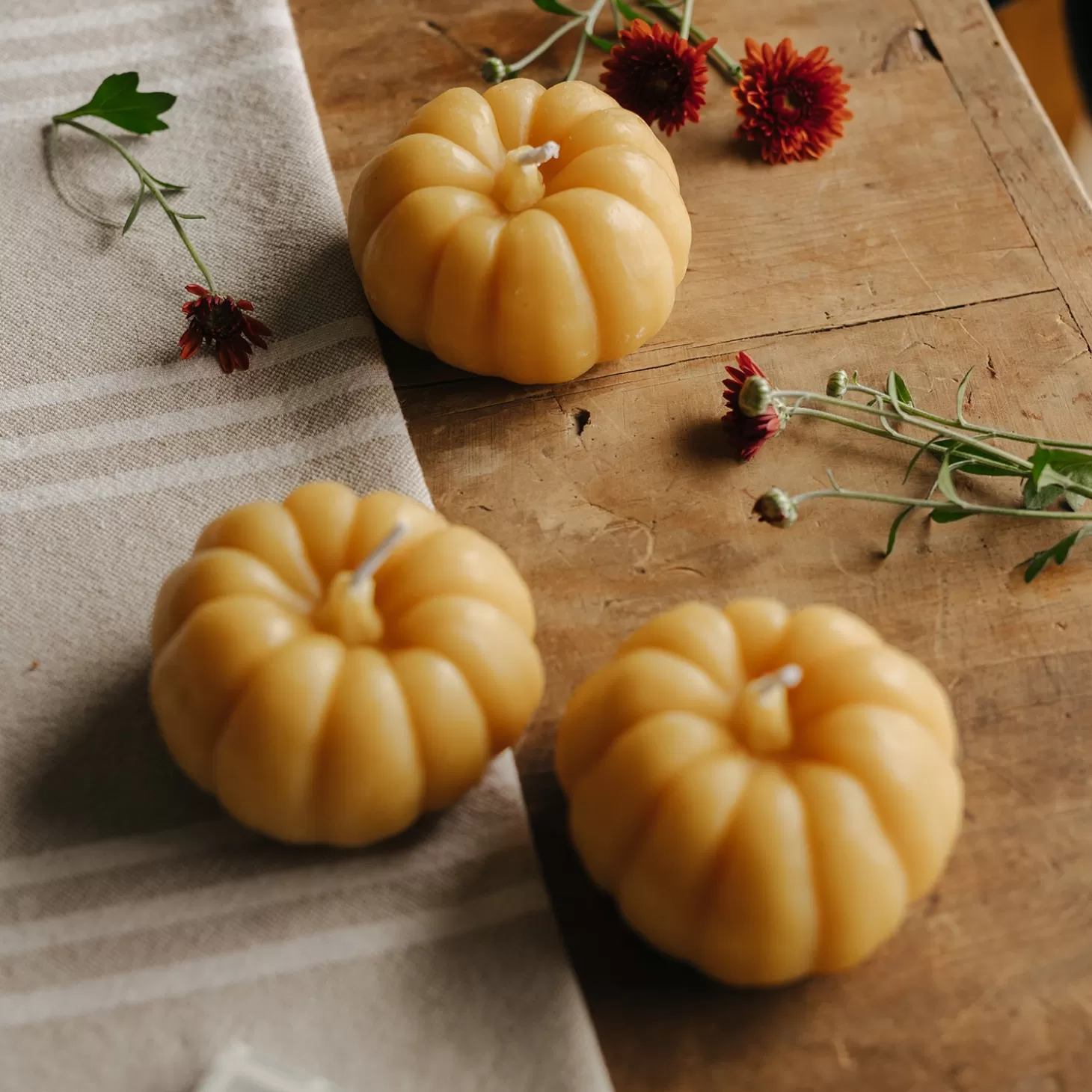 Trois fois par jour Chandelle Cire D'Abeille - Citrouille Best Sale