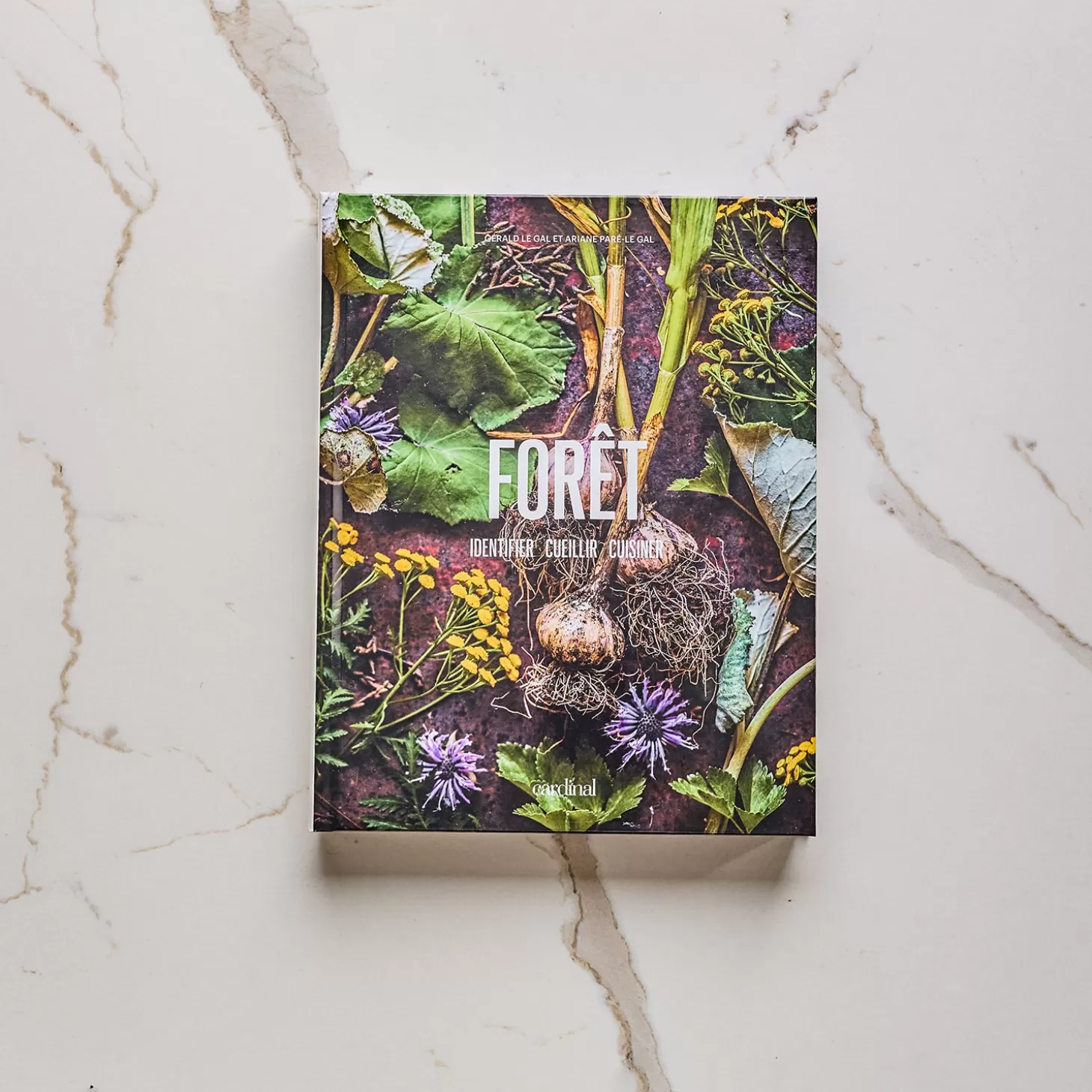 Trois fois par jour Foret Identifier, Cueillir, Cuisiner Discount
