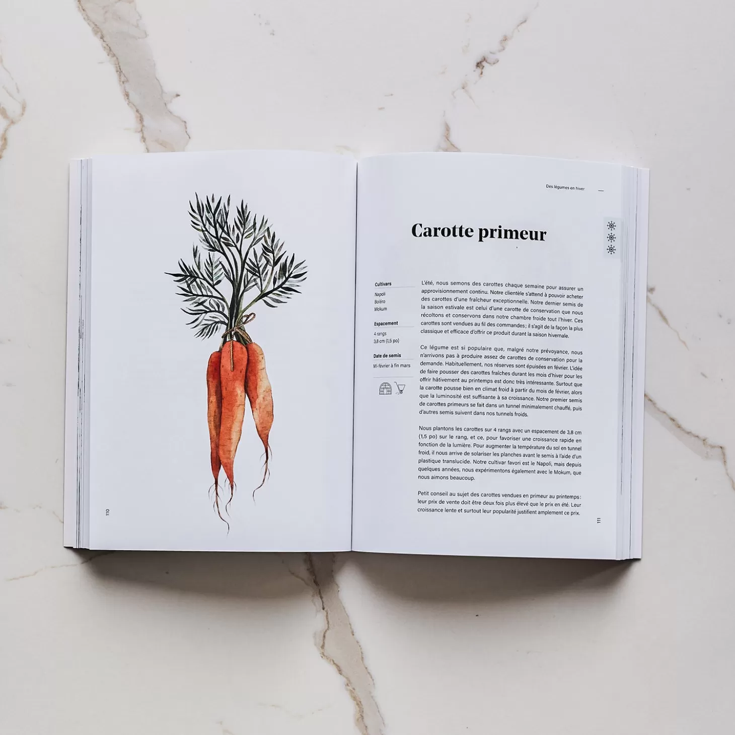 Trois fois par jour Le Maraichage Nordique Decouvrir La Culture Hivernale Des Legumes Hot