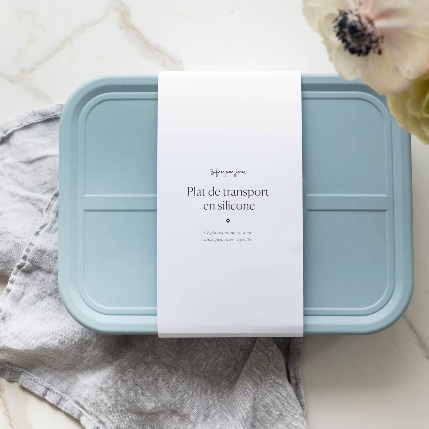 Trois fois par jour Plat De Transport En Silicone - Bleu Outlet