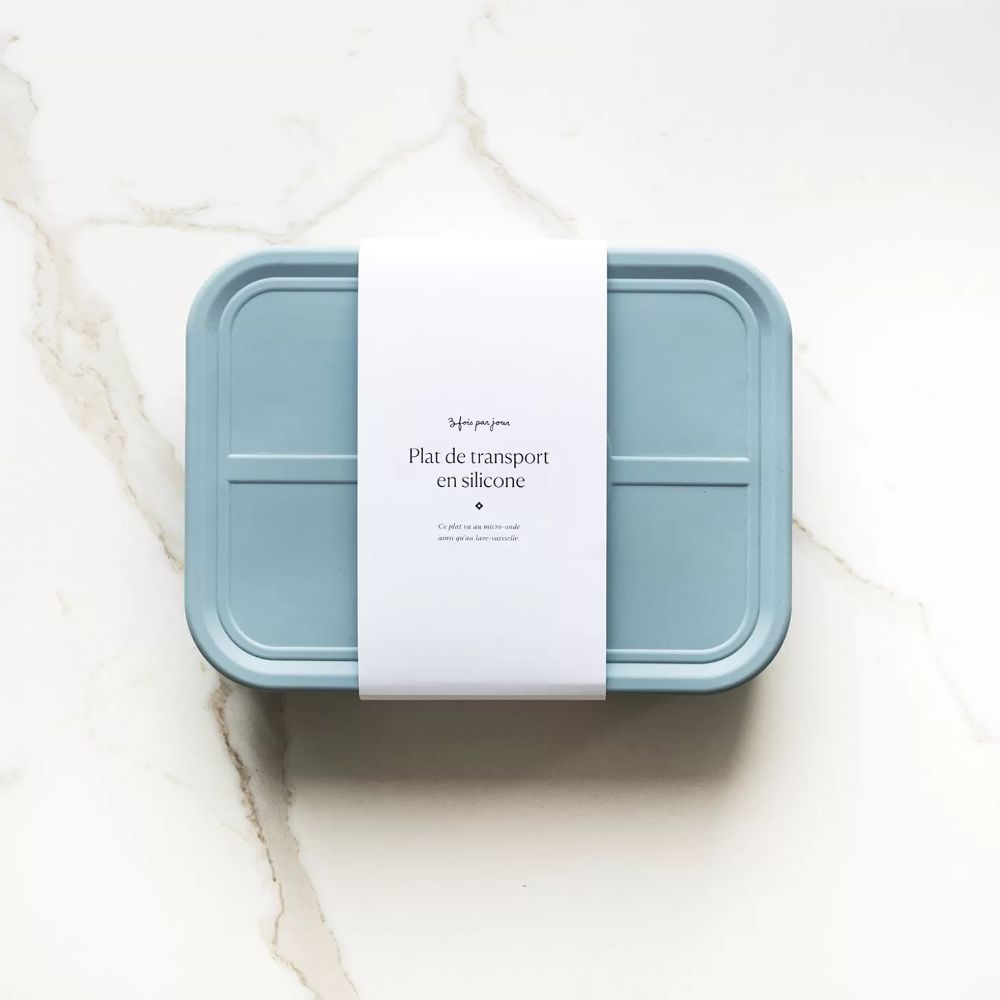 Trois fois par jour Plat De Transport En Silicone - Bleu Outlet